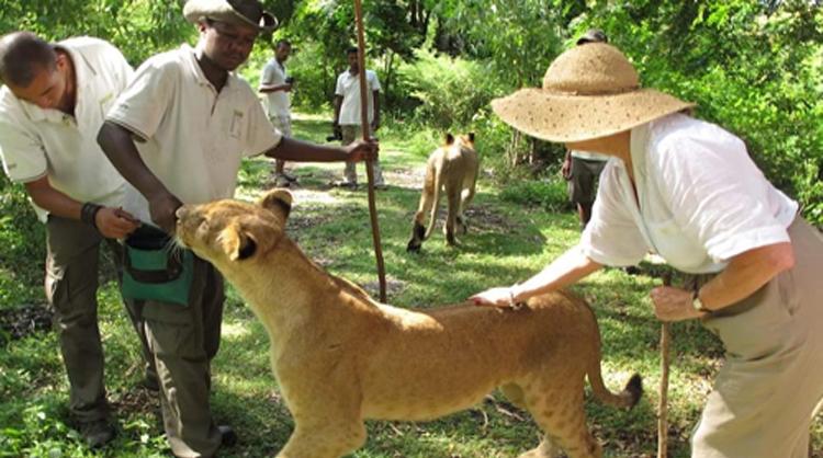 WALK WITH LIONS