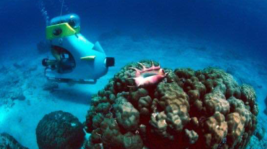 Sub Scooter Cruiser in Mauritius