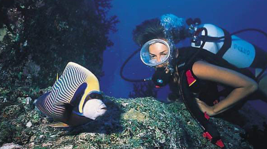 Best Dive Tour In Mauritius