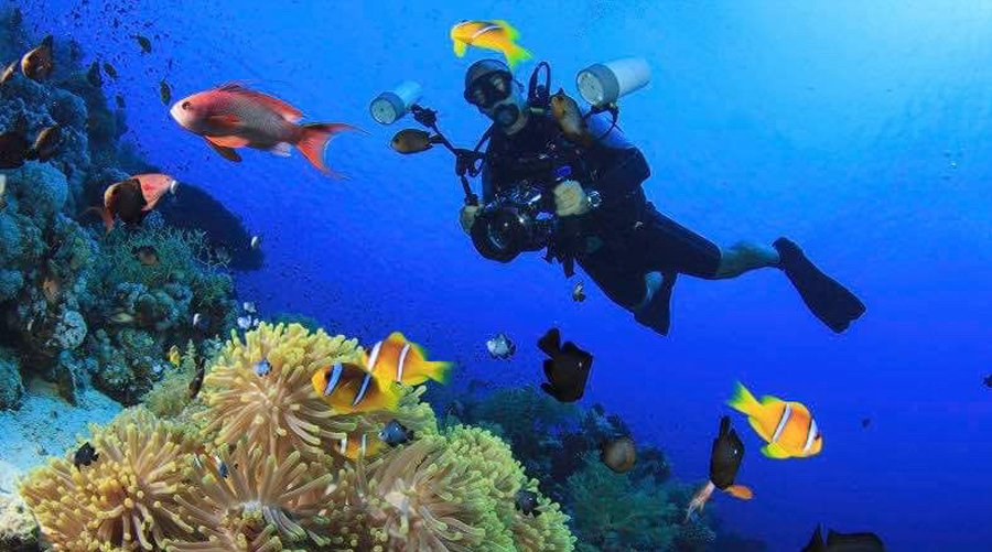 Dive Tour In Mauritius