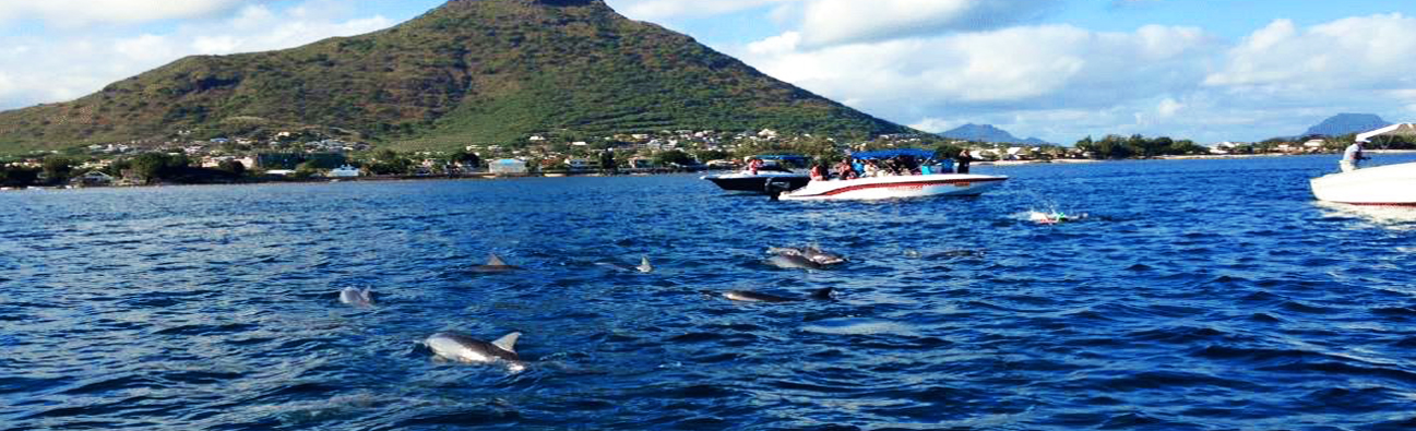 BENITIER ISLAND & DOLPHINS SWIM