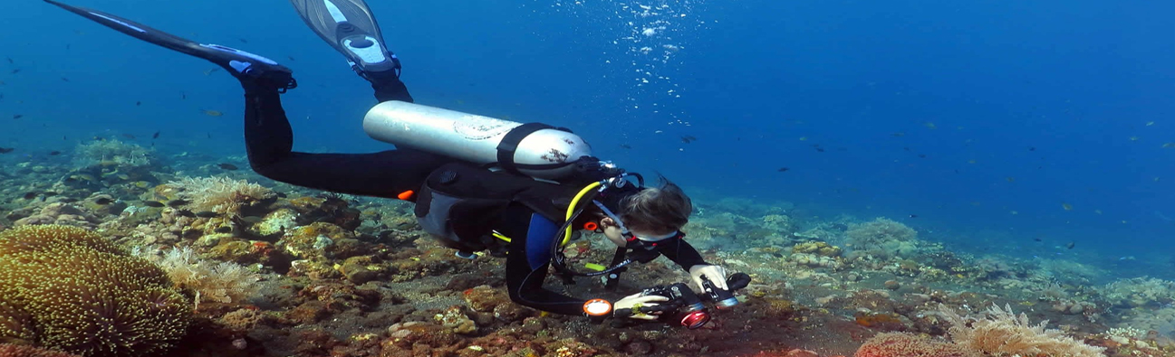 DIVE IN MAURITIUS